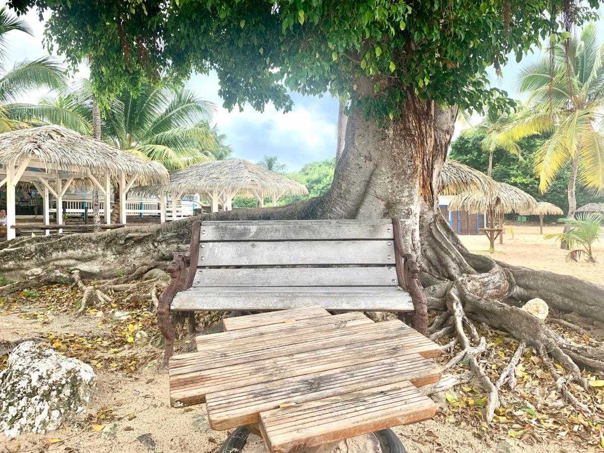 Le Titouloulou 1023 Anse Des Rochers Saint-Francois  Eksteriør billede